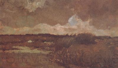 Vincent Van Gogh Marshy Landscape (nn04)